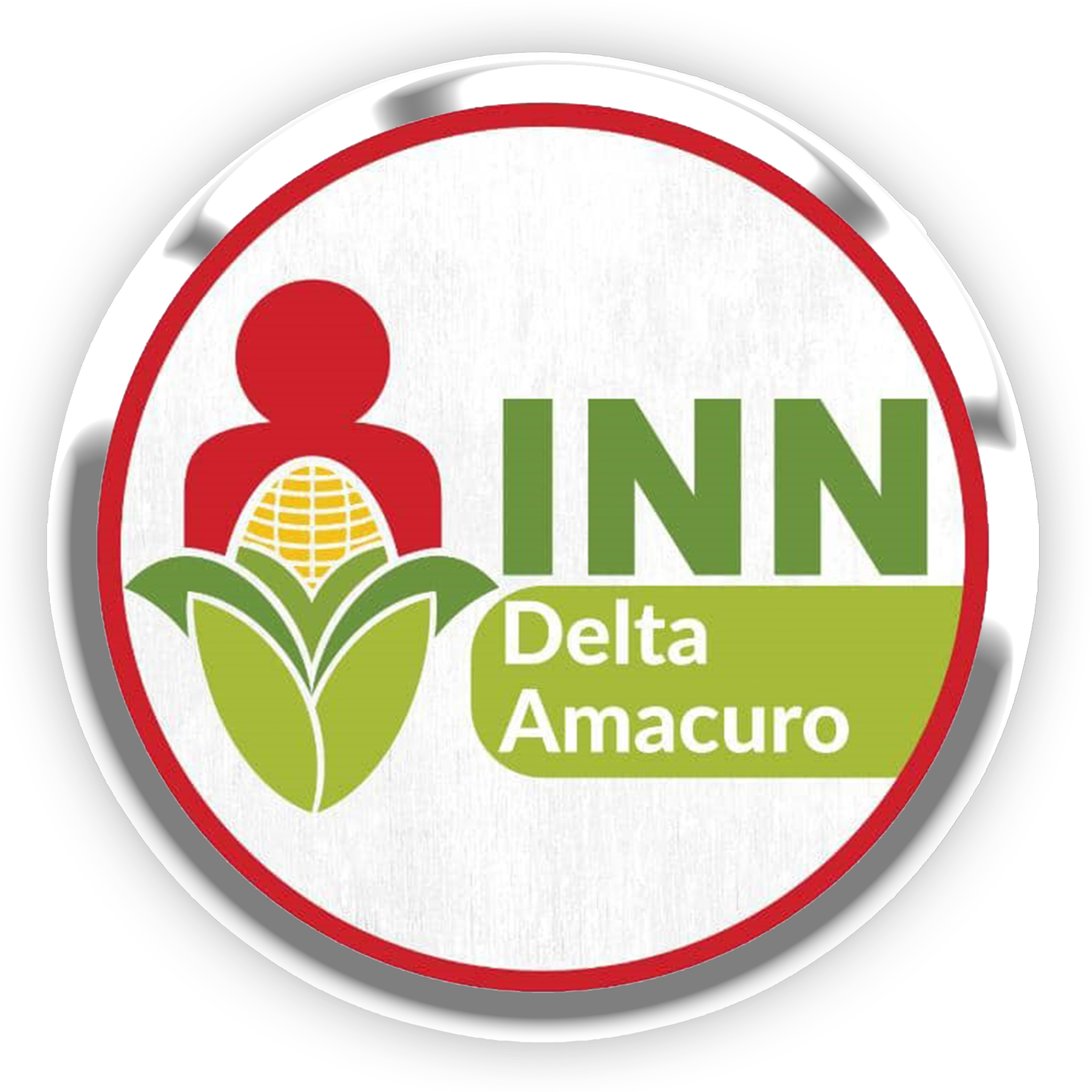 Insituto Nacional de Nutrición - Colaborador Oficial de la Carrera 5K Rosa 2026